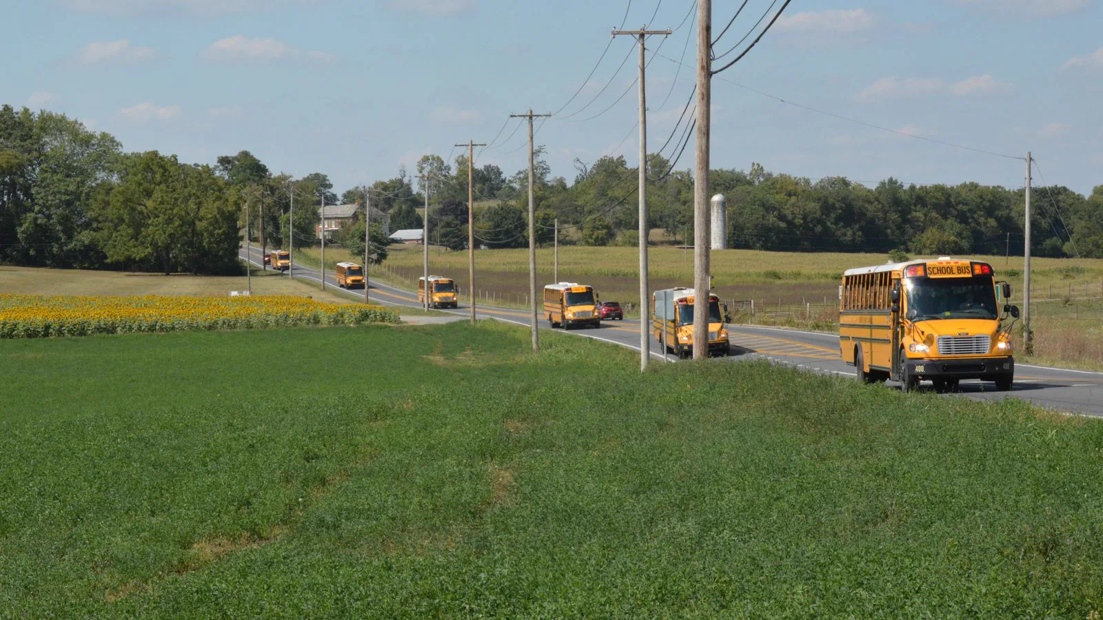 A line of yellow school buses traveling through a rural landscape
